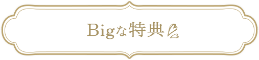 Bigな特典