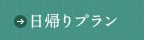 日帰りプラン