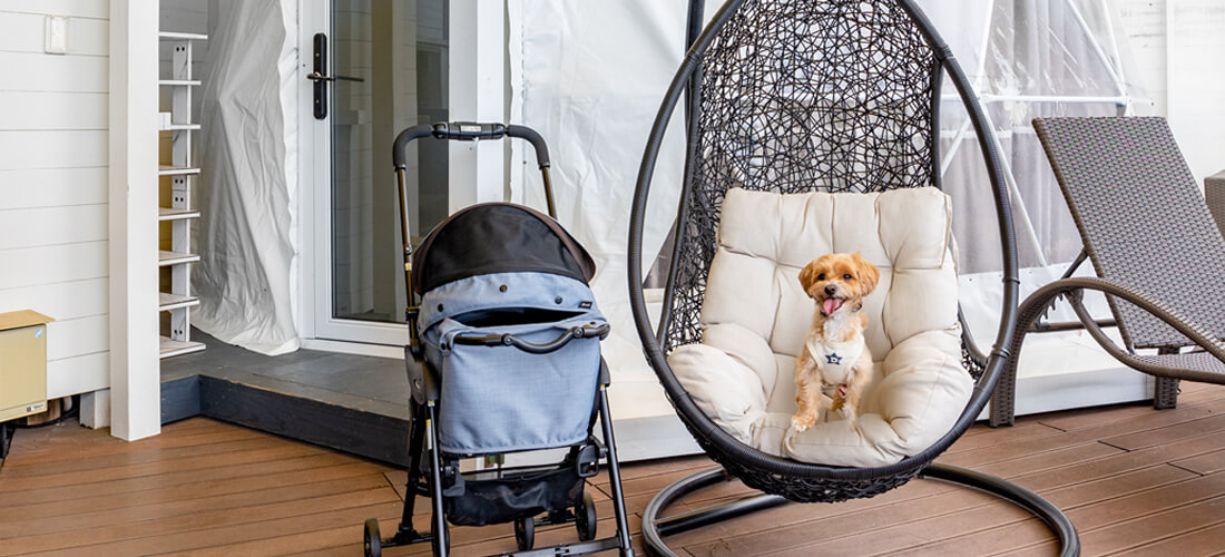 ワンちゃんと泊まれるグランピング客室