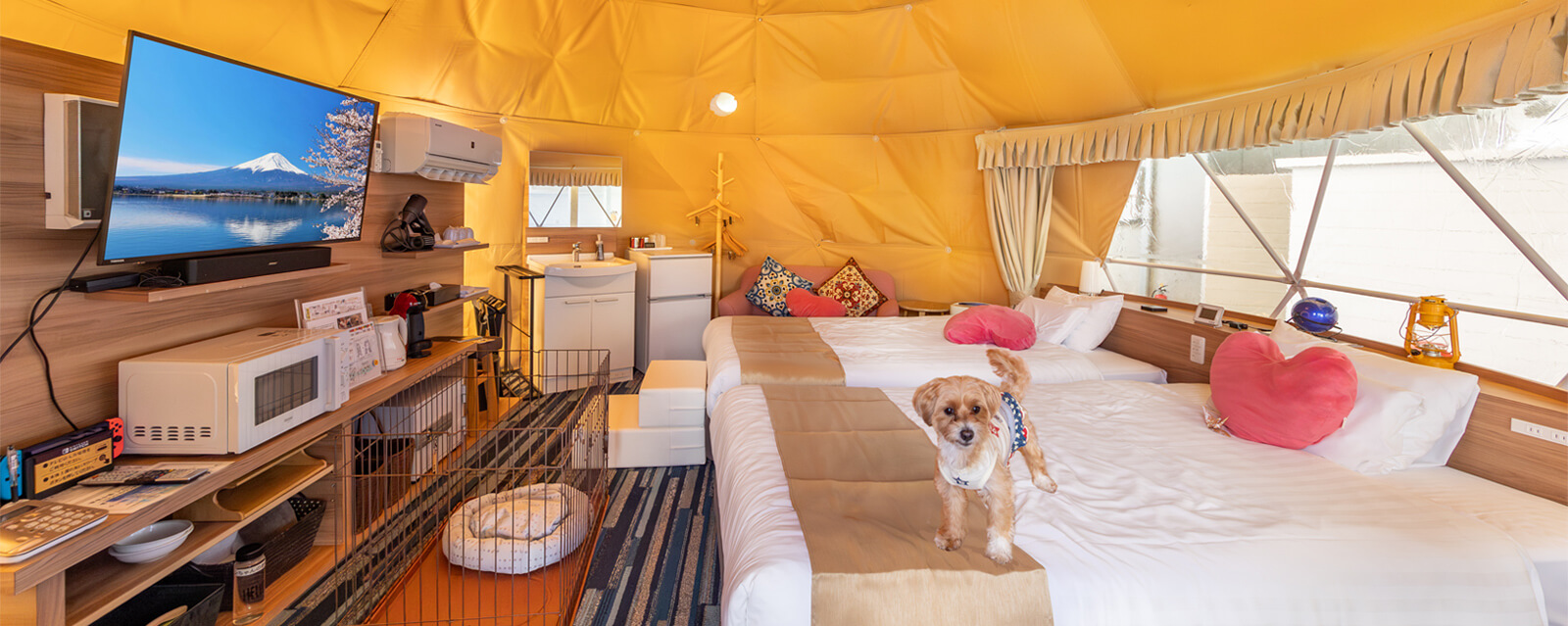 グランピング イメージ