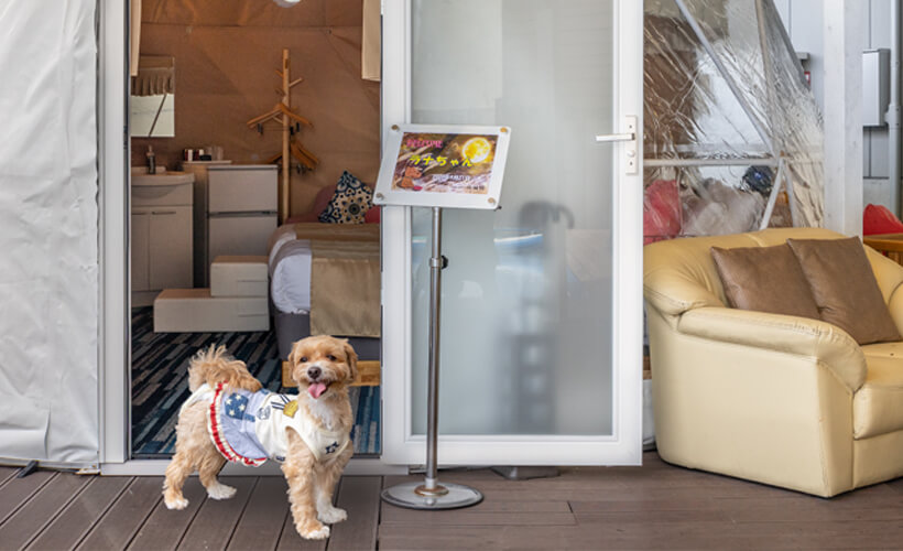 ワンちゃんと非日常体験