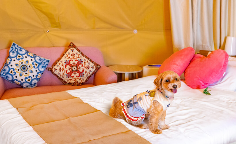 エアコン・ベッド完備