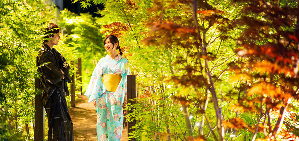 光の森