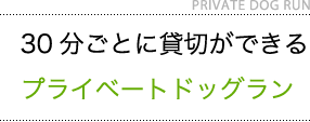 1組限定　プライベートドッグラン