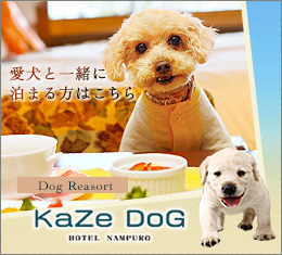 KaZeDoG