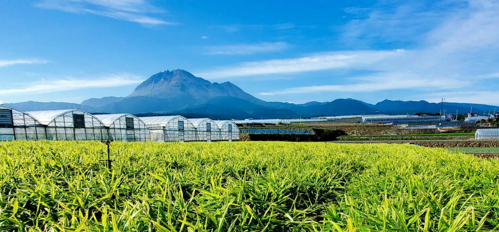 島原の食材を受け継ぐ「生産者の想い」