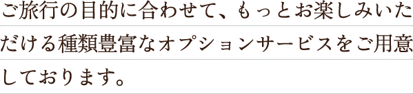 ご旅行の目的に合わせて、もっとお楽しみいただける種類豊富なオプションサービスをご用意しております。