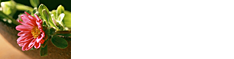 ご予約特典