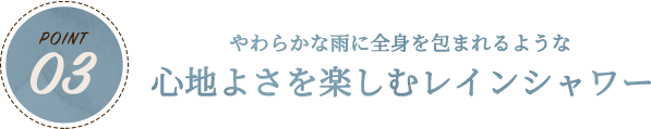 POINT03 心地よさを楽しむレインシャワー