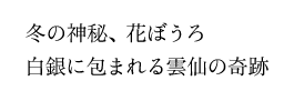 冬の神秘、花ぼうろ白銀に包まれる雲仙の奇跡