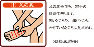 1.足の裏　足の裏全体を、両手の親指で押します。固いところや、痛いところ、冷えているところは重点的に。（母指圧迫法）