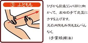 3.ふともも　ひざから鼠径リンパ節に向かって、左右の手で交互にさすり上げます。足の内側も外側もまんべんなく。（手掌軽擦法）