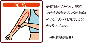 4.腕　手首を軽くつかみ、腕のつけ根の腋窩リンパ節に向かって、リンパを流すようにさすり上げます。（手掌軽擦法）