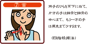 7.首　両手のひらを耳下に当て、片方の手は鎖骨と鎖骨の中心まで、もう一方の手は肩先までさすります。（四指軽擦法）