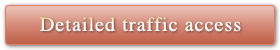 Detailed traffic ccess