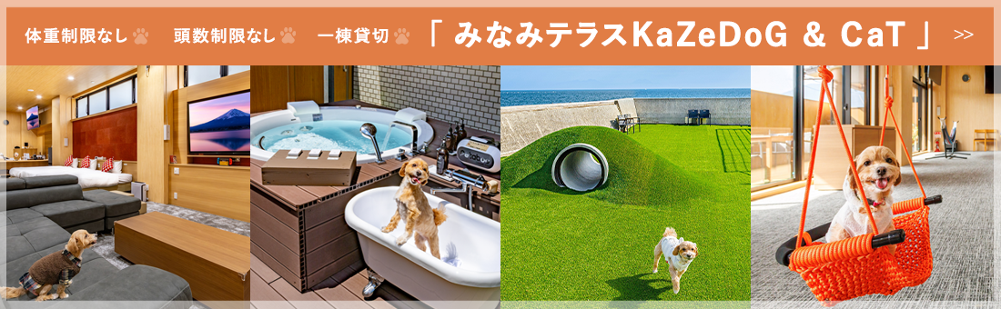 ワンちゃんと泊まれる新施設! 別棟みなみテラスKaZe DoGがリニューアルオープン